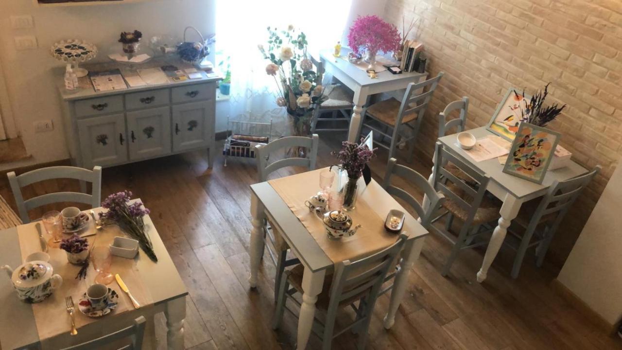 B&B Domar Civitanova Marche Εξωτερικό φωτογραφία